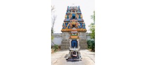 33. திருநாரையூர்